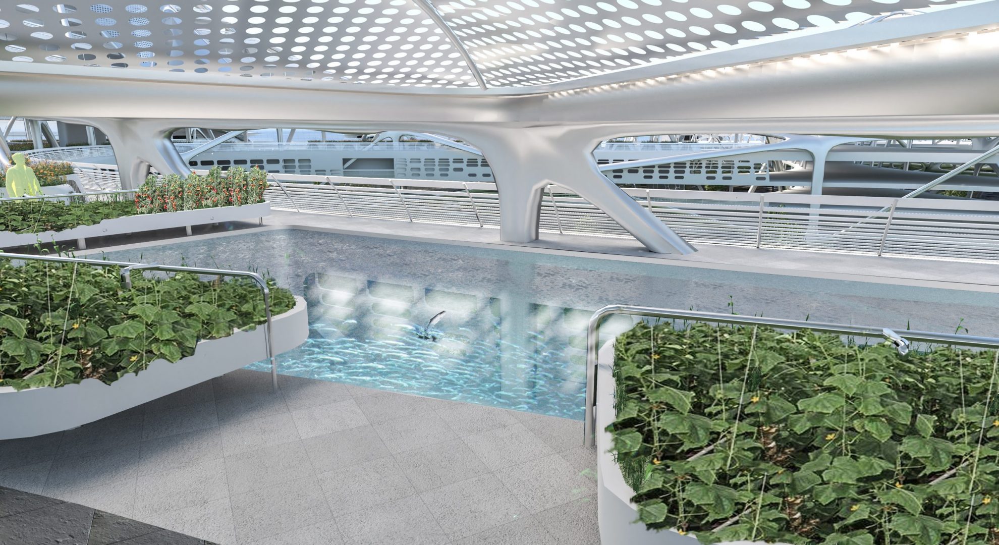 Synapsis - aquaponic