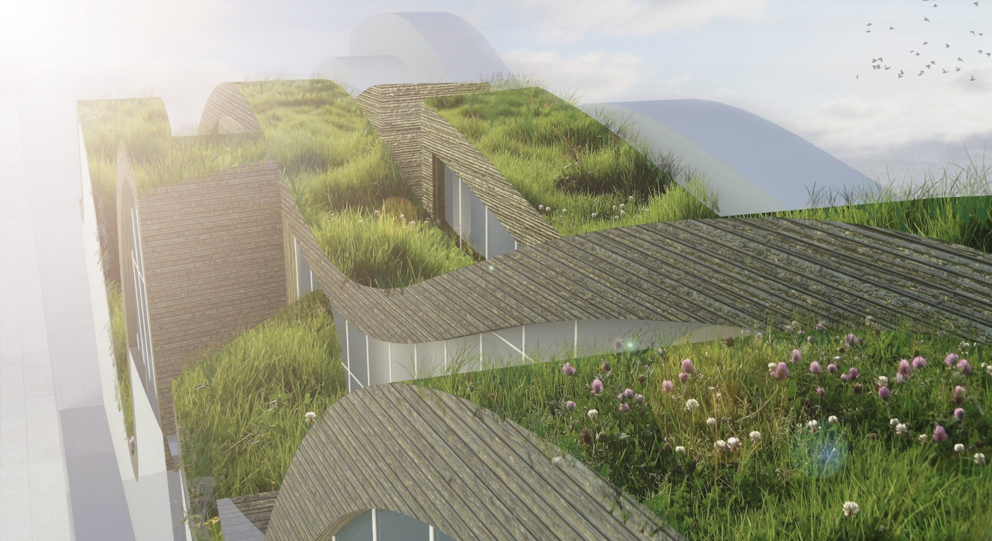 Up and Down: rooflandscape